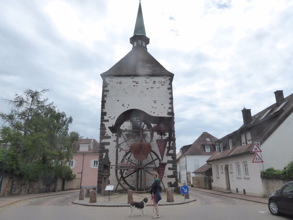 85394C9B-B80C-4341-B764-D5D024639A81