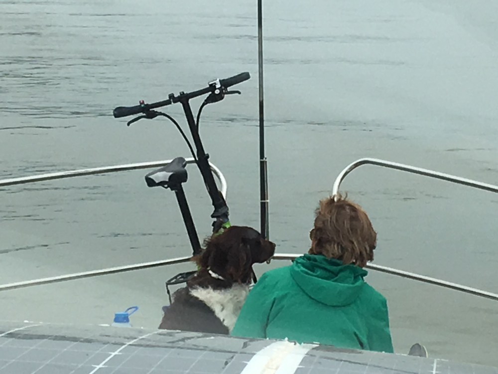 F58921EE-A58E-4339-8008-5A8A32A02141